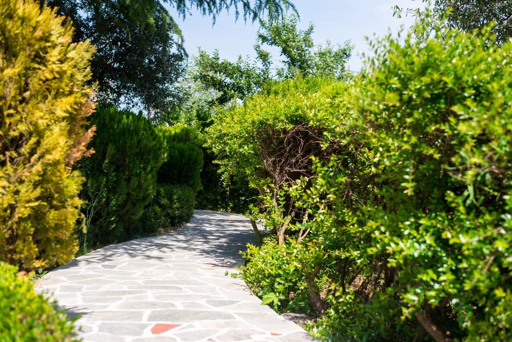 Anastasia Apartments Σκάλα Ποταμιάς Εξωτερικό φωτογραφία