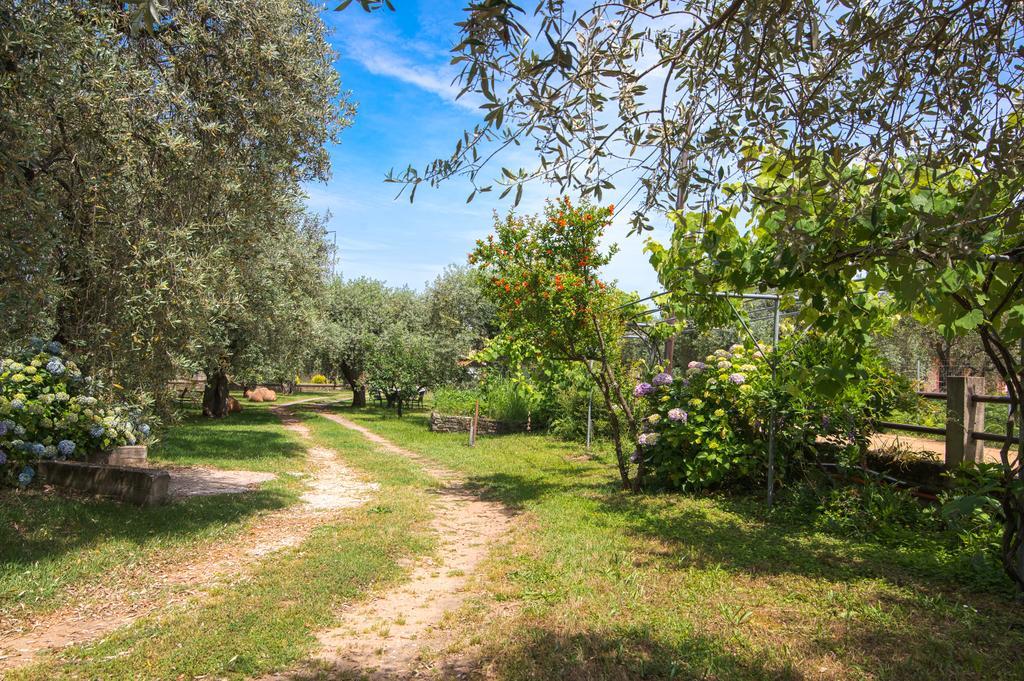 Anastasia Apartments Σκάλα Ποταμιάς Εξωτερικό φωτογραφία